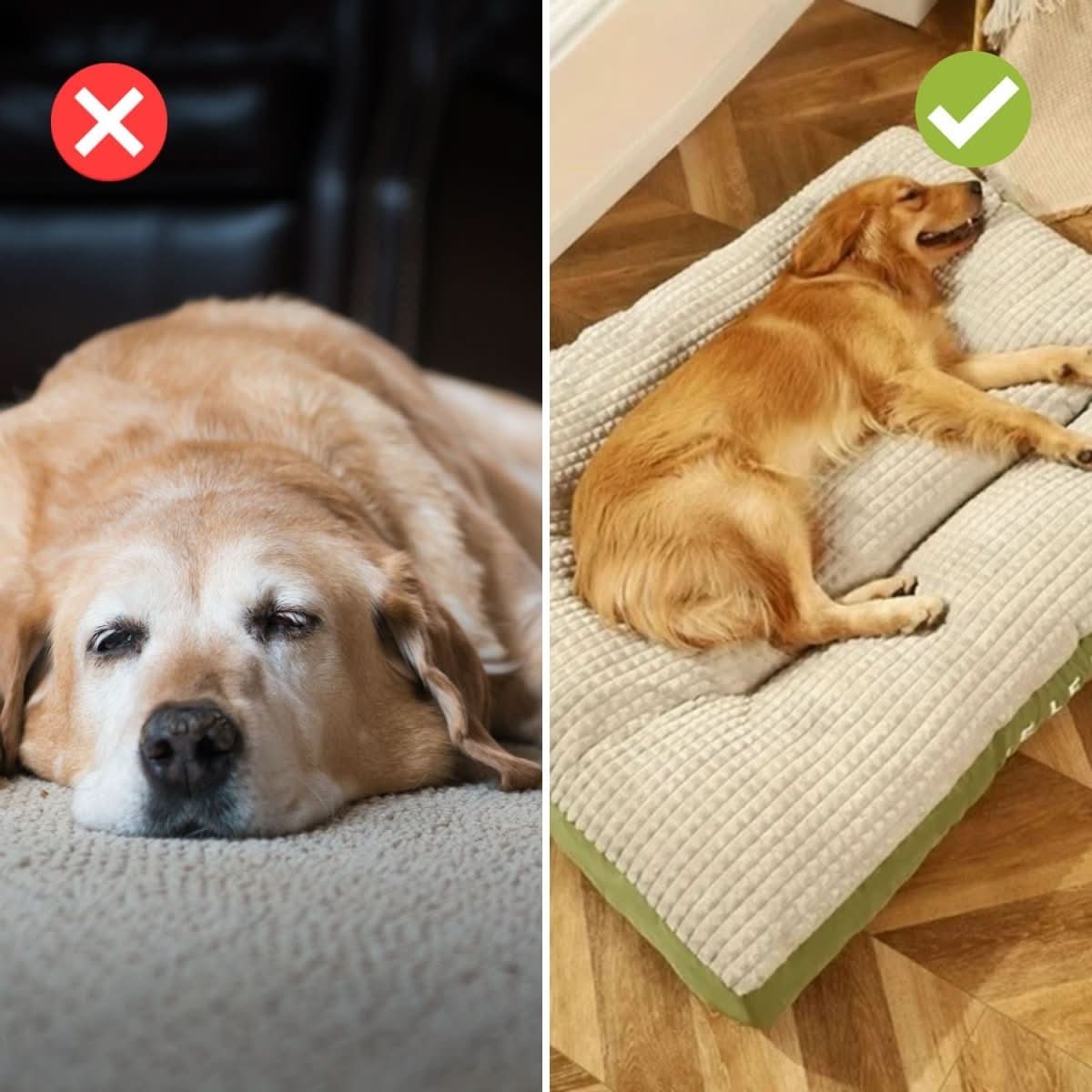 PawRest – Orthopedic Dog Bed with Optimal Support & Comfort
