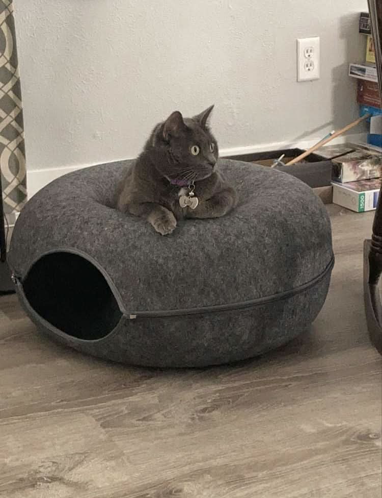 Purrfect Den - Luxury cat tunnel with sleeping area