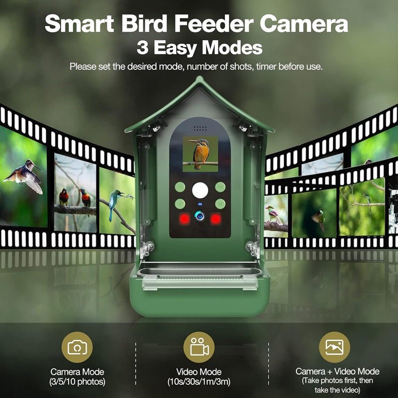 BIRDLENS – Smarter Bird Feeder with HD Camera for Live Wildlife Observation