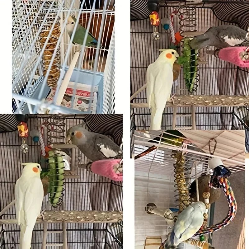 STEELSWIRL – Robust stainless steel parrot food dispenser for long-term use