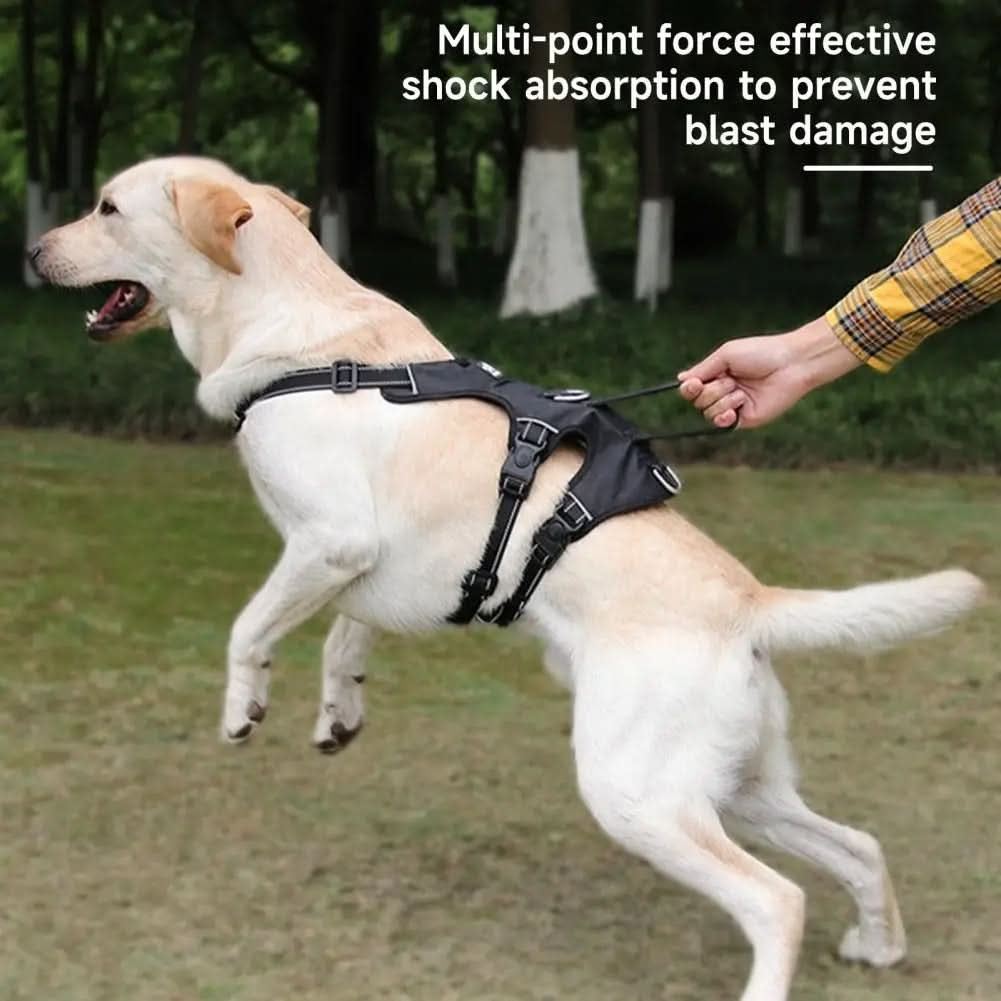 NoPull nylon dog harness - Reflective & escape-proof for relaxed walks
