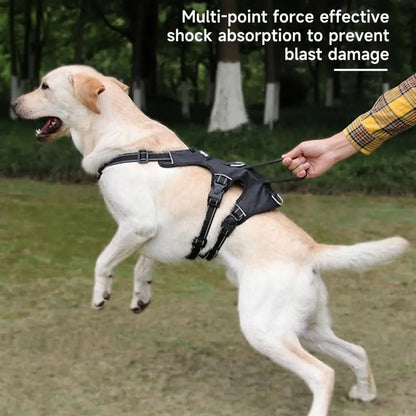 NoPull nylon dog harness - Reflective & escape-proof for relaxed walks