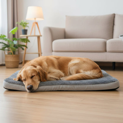 SNUGTAIL BED – Ergonomic Memory Foam Dog Cushion for Healthy Sleep