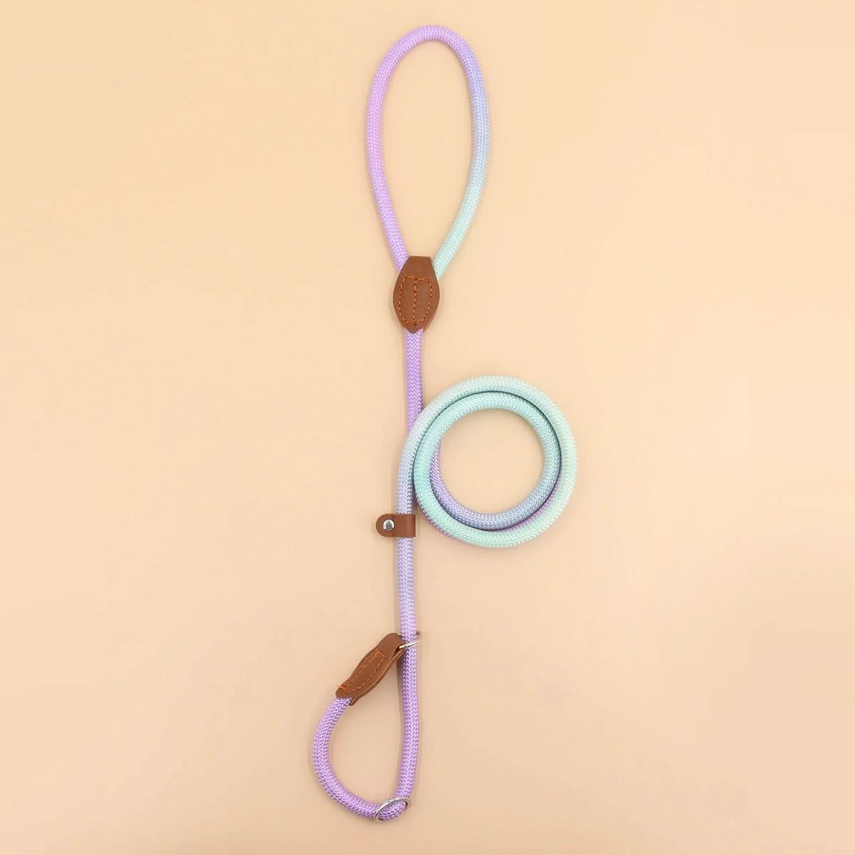 COLORLEASH – Colorful Dog Leash for Stylish Walks