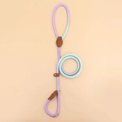 COLORLEASH – Colorful Dog Leash for Stylish Walks