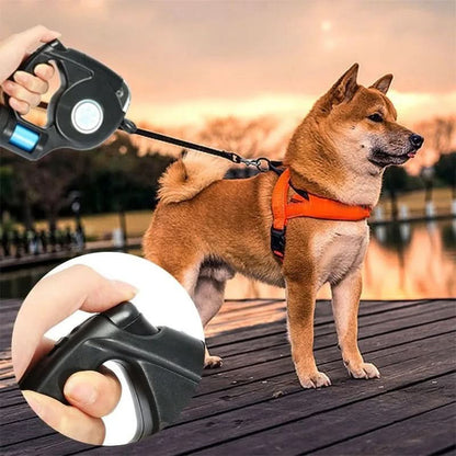 BRIGHTSTRIDE – LED Dog Leash with Integrated Flashlight for Safe Walks