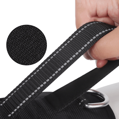 NoPull nylon dog harness - Reflective & escape-proof for relaxed walks