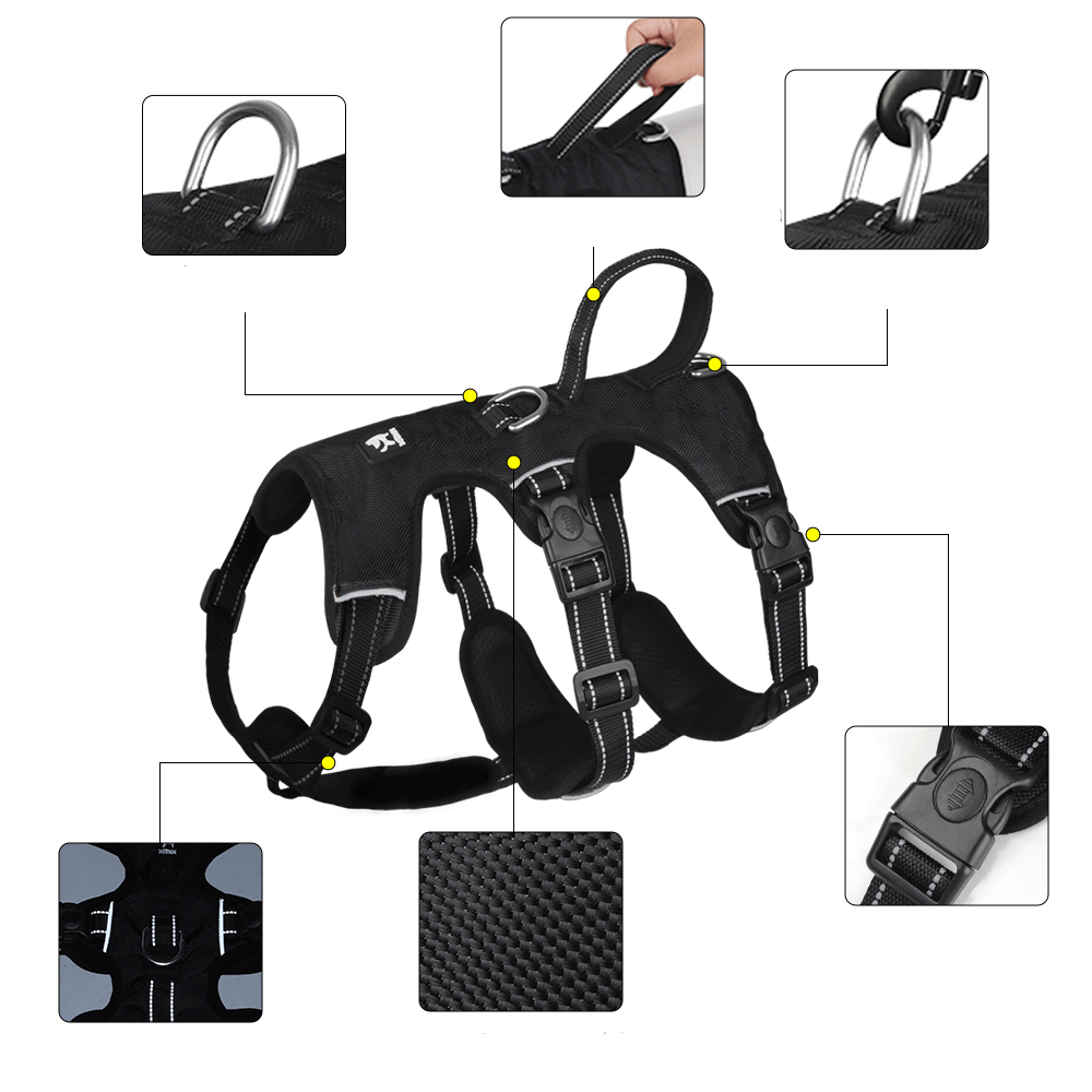 NoPull nylon dog harness - Reflective & escape-proof for relaxed walks