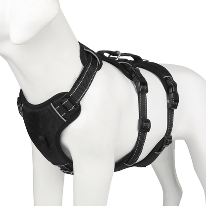 NoPull nylon dog harness - Reflective & escape-proof for relaxed walks