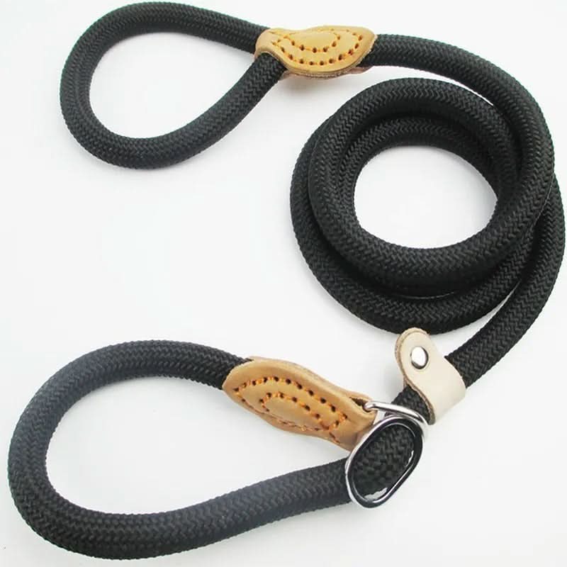 SECUREROPE – Robust dog leash made from climbing rope for maximum safety