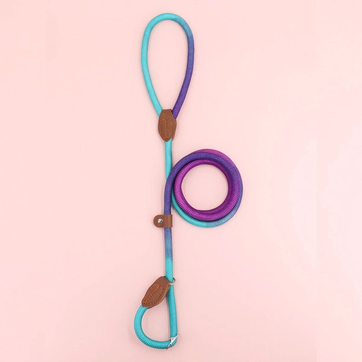 COLORLEASH – Colorful Dog Leash for Stylish Walks