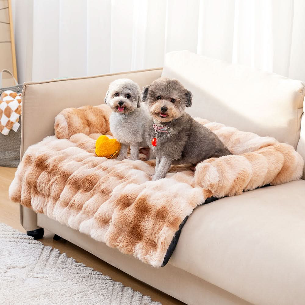 SnoozeHaven – Cozy Dog Sofa Bed with Furniture Protection