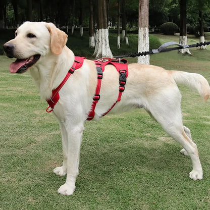 NoPull nylon dog harness - Reflective & escape-proof for relaxed walks