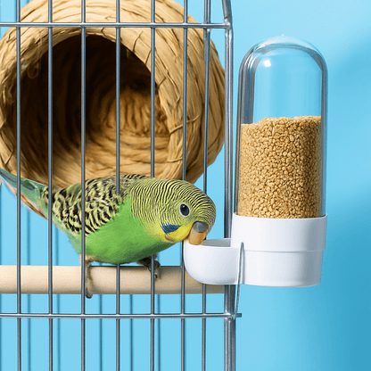 DUOFEEDA – Automatic 2-in-1 Bird Waterer and Feeder