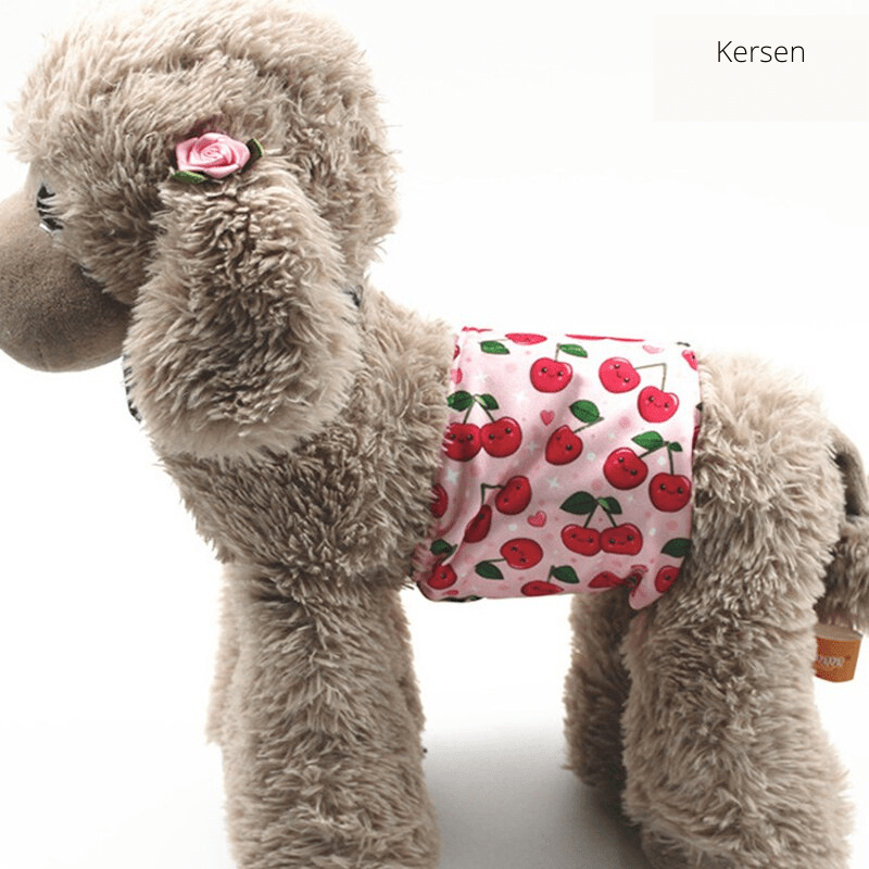 CLEANPAW - Washable dog nappies for comfort & protection against incontinence
