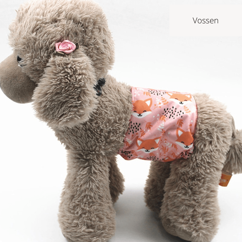 CLEANPAW - Washable dog nappies for comfort & protection against incontinence