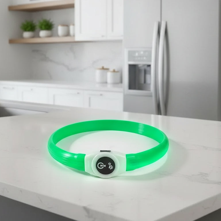 WOOFBEAM – LED Light Collar for Dogs for Safe Walks at Night