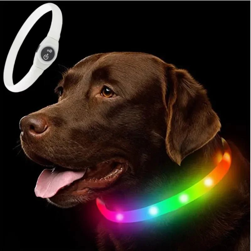 WOOFBEAM – LED Light Collar for Dogs for Safe Walks at Night