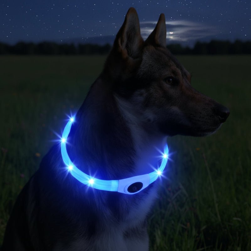 WOOFBEAM – LED Light Collar for Dogs for Safe Walks at Night