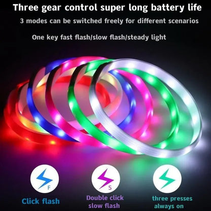 WOOFBEAM – LED Light Collar for Dogs for Safe Walks at Night