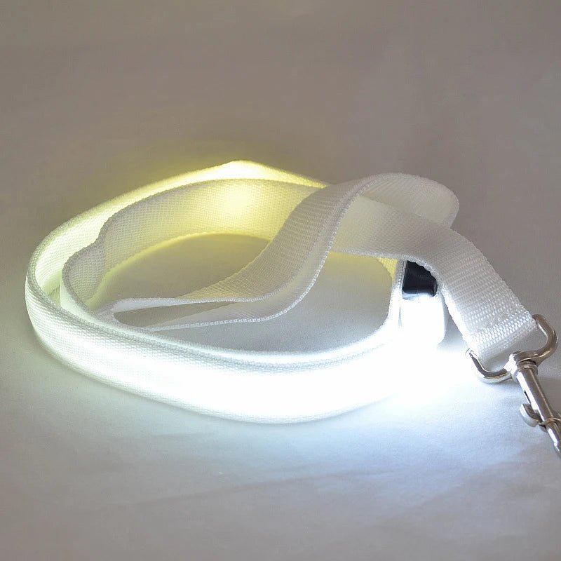 BRIGHTBARK – LED dog leash with USB charging & reflective design
