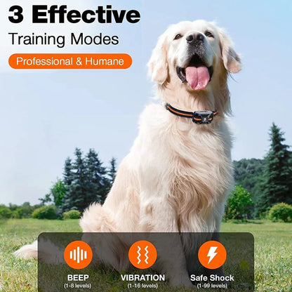 PETFORCE – Professional 1000 m Remote Training Collar for Dogs