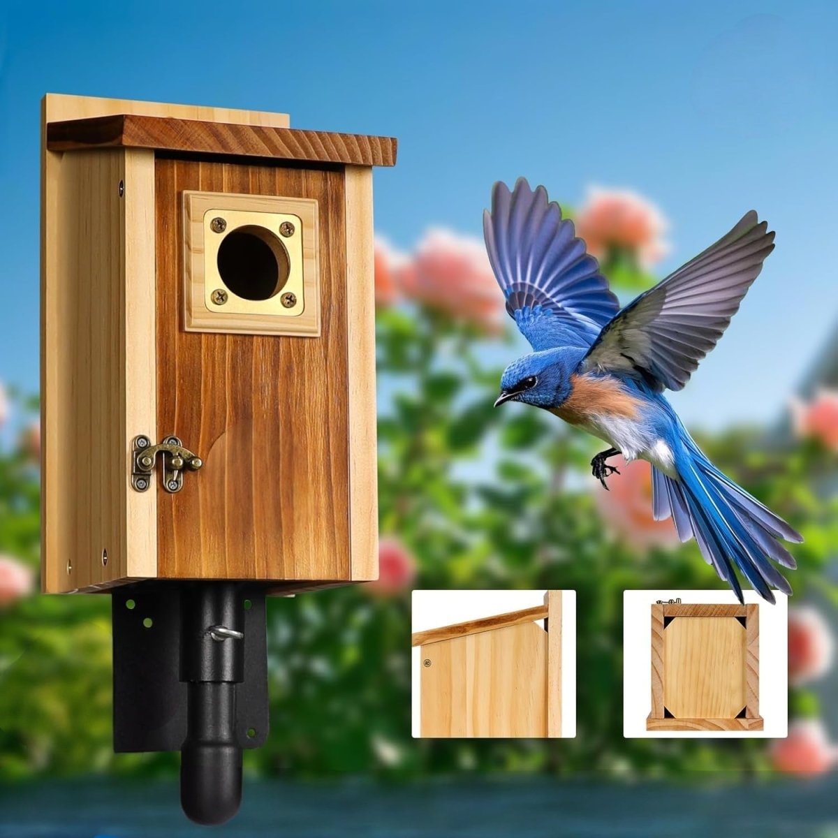 SKYDWELL – Cedar Wood Nesting House for Blue Jays, Swallows, and Small Birds