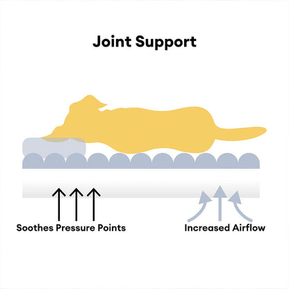 DOGVIA – Soft & washable orthopedic dog sofa for pets