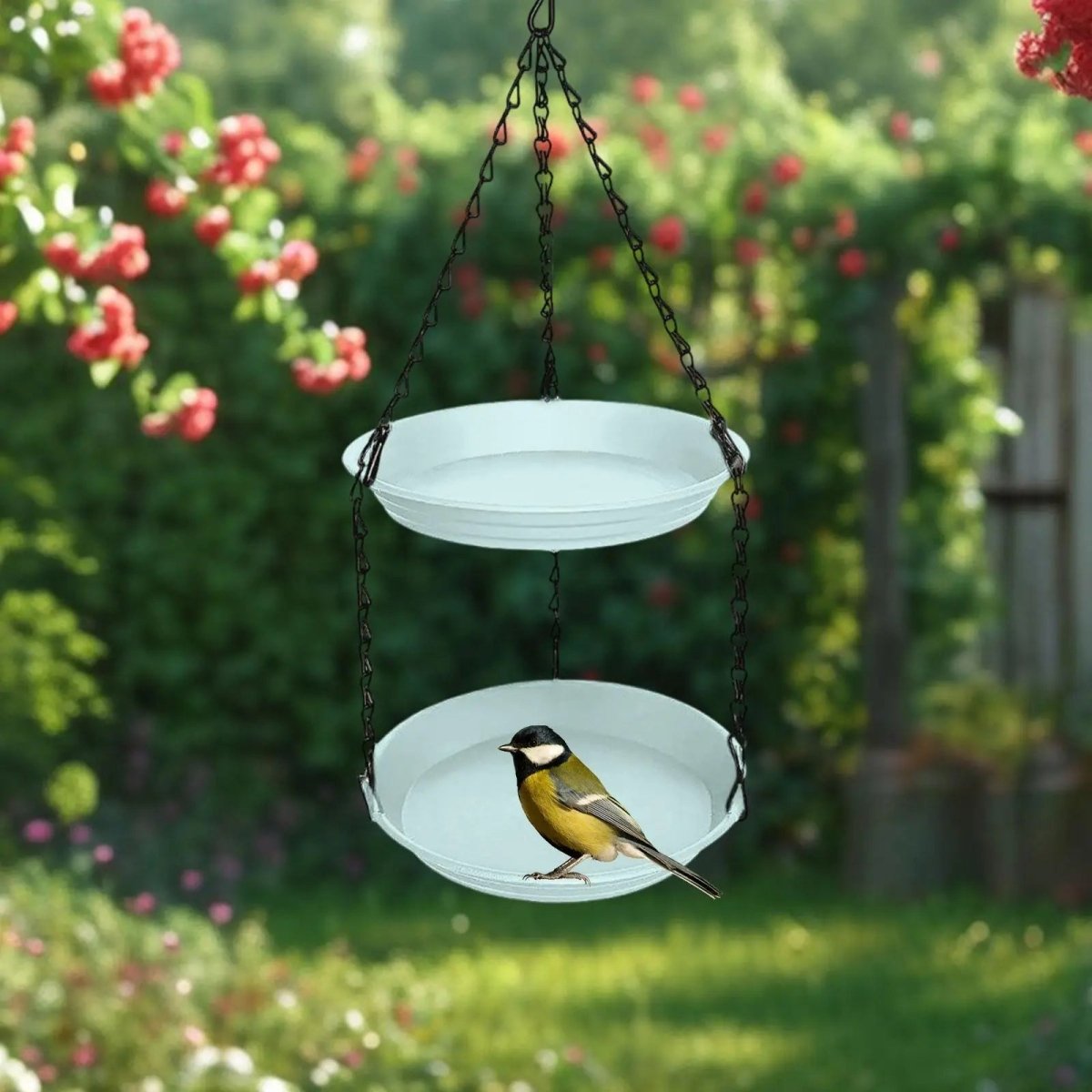 CHAINNEST – Hanging bird feeder with double plates and durable chain construction