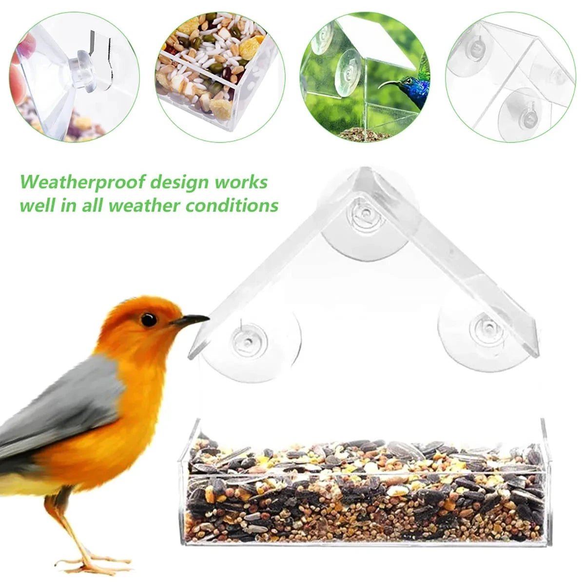 FEEDPEEK – Clear window bird feeder with suction cups