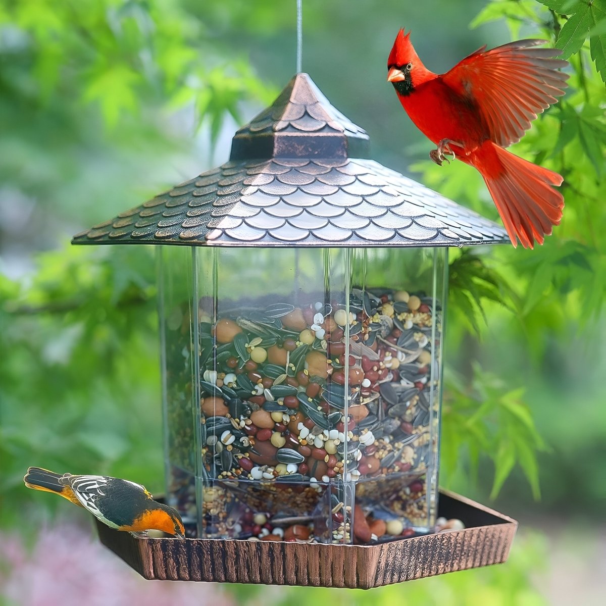 COPPERSHADE – Elegant bird feeder in copper look for weatherproof hanging decoration