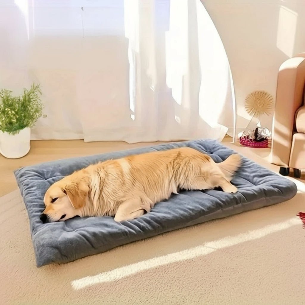 NIMBLESLEEP – Fluffy dog bed for soothing relaxation