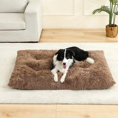 FURLOUNGE – Plush Cushion Bed & Cat Pad for Daily Comfort