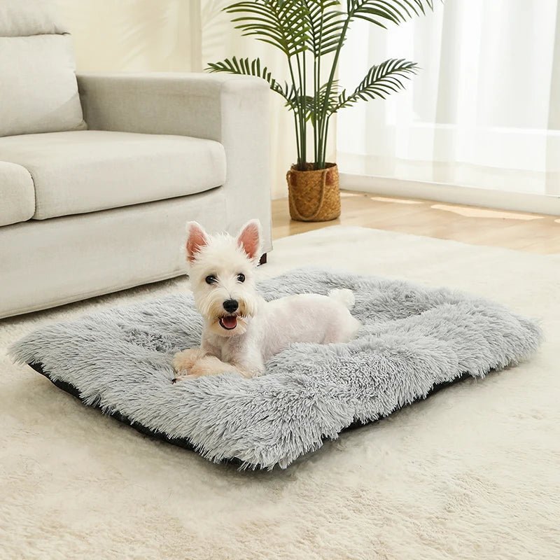 FURLOUNGE – Plush Cushion Bed & Cat Pad for Daily Comfort