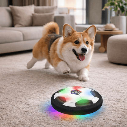 ChaseSpark – Interactive Play Ball for Dogs with Unpredictable Movements