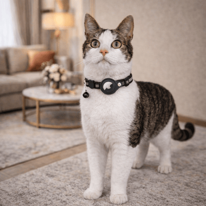 CATSAFE TRACK - GPS tracker collar for safety & visibility for cats