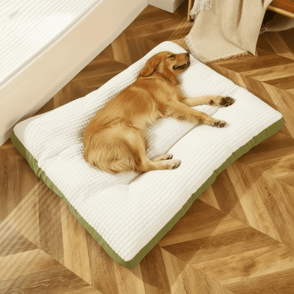 CLOUDPAW – Soft dog bed with supportive foam and cotton cover
