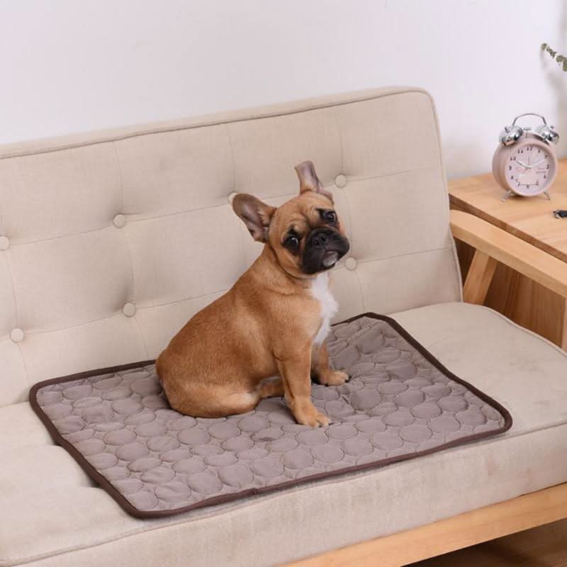 DogCool Mat - Self-cooling dog mat to prevent overheating in summer