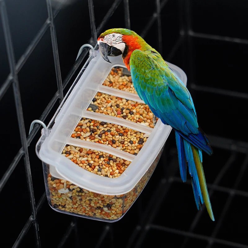 PARROTVIEW – Ecological parrot feeder with clear 360-degree view