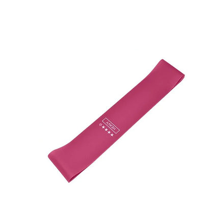 LOOPFIT – Resistance Bands Set with 5 Strength Levels for Full Body Training