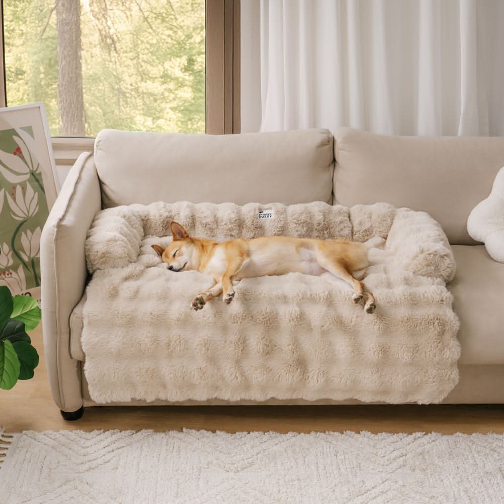 SnoozeHaven – Cozy Dog Sofa Bed with Furniture Protection
