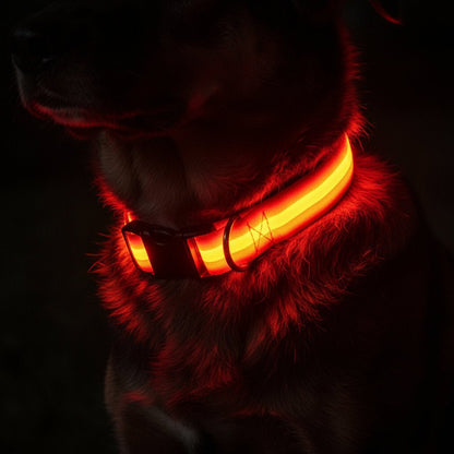 GLOWRUN – LED Safety Dog Collar with Adjustable Fit