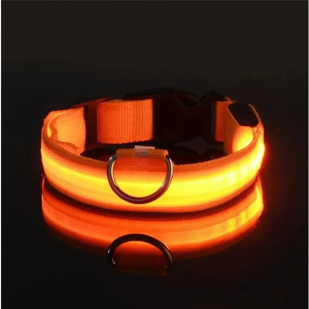 GLOWRUN – LED Safety Dog Collar with Adjustable Fit