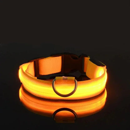 GLOWRUN – LED Safety Dog Collar with Adjustable Fit