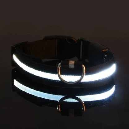 GLOWRUN – LED Safety Dog Collar with Adjustable Fit