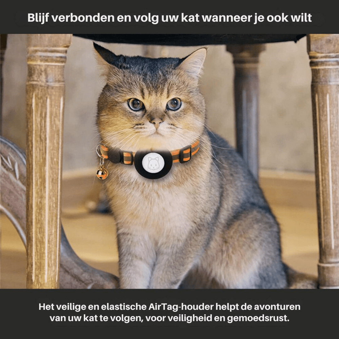 CATSAFE TRACK - GPS tracker collar for safety & visibility for cats