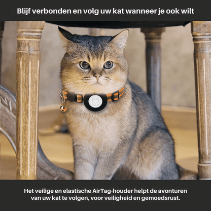 CATSAFE TRACK - GPS tracker collar for safety & visibility for cats