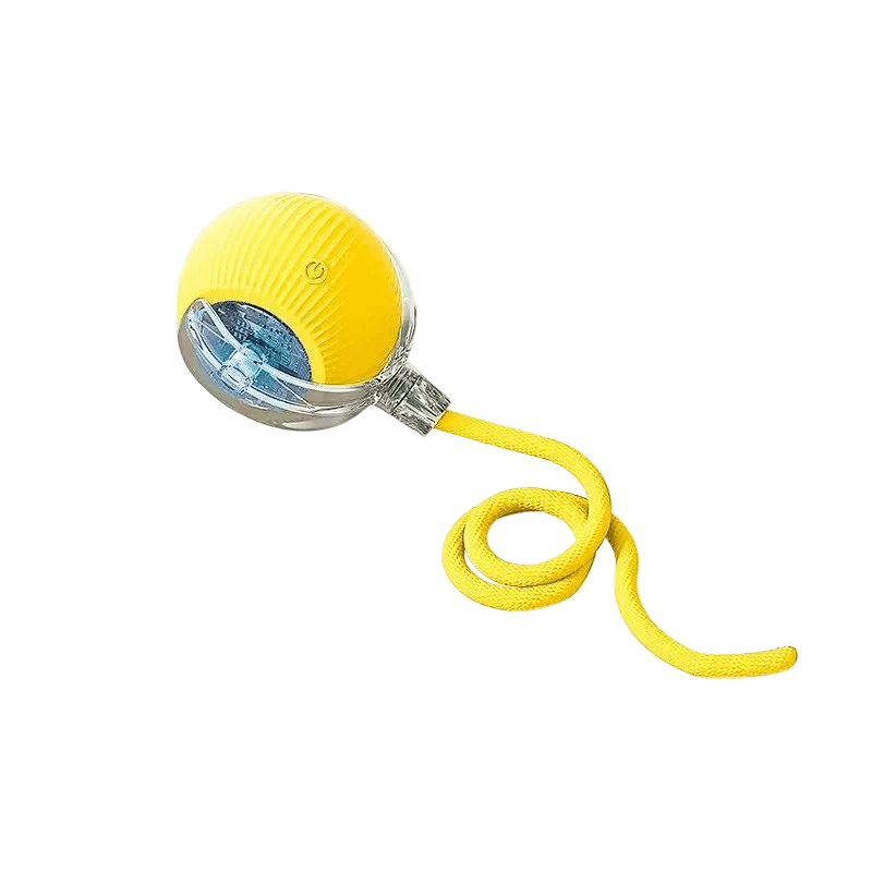 PlayPet Interactive Dog Ball - Rechargeable Bouncing Ball