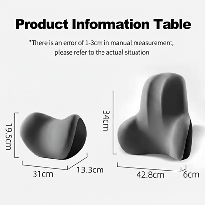 AUTOERGON – Memory Foam Auto Neck & Lumbar Support for Ergonomic Seating Comfort