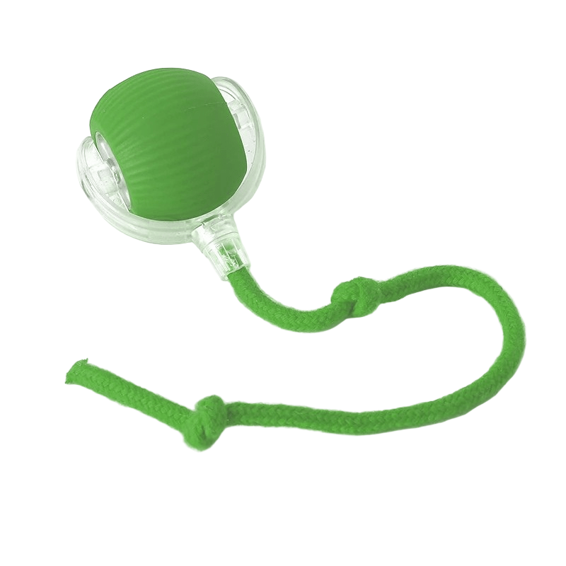 PlayPet Interactive Dog Ball - Rechargeable Bouncing Ball